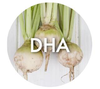 DHA